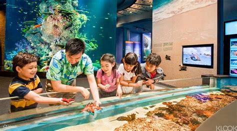 Buche Dein Ticket Für Das Sea Aquarium In Sentosa Singapur Online