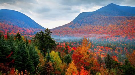 White Mountain National Forest New Hampshire Herbst