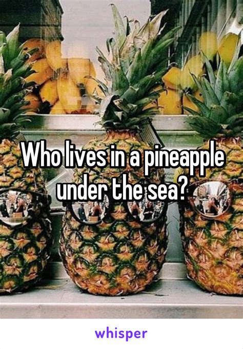 Who Lives In A Pineapple Under The Sea