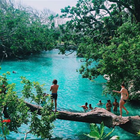 Blue Lagoon Vanuatu This Was Honestly So Fun You Get To Swing Off These Ropes Into The Water