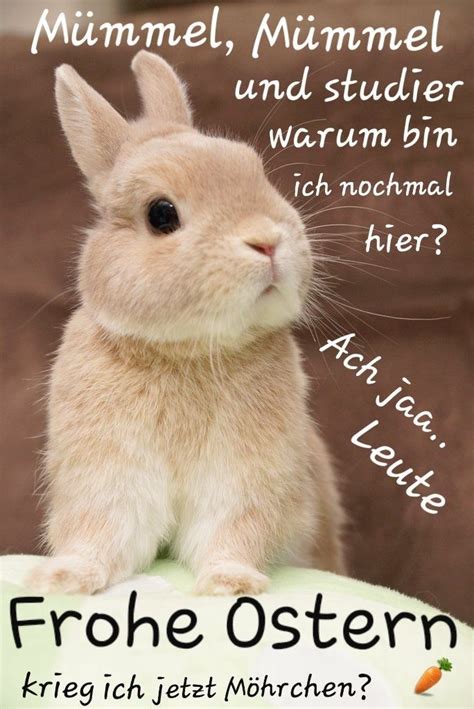 Happy Easter Easter Day Ostern Lustig Frohe Ostern Ostern Bilder