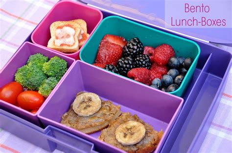 5 Quick And Easy Lunch Box Ideas Your Kids Will Love Rockin Mama