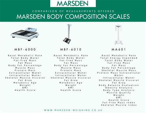 Understanding Your Body Composition Scale Measurements Marsden