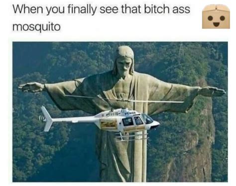 Funsubstance I Too T Pose Over Mosquitoes🦟🦟 Facebook