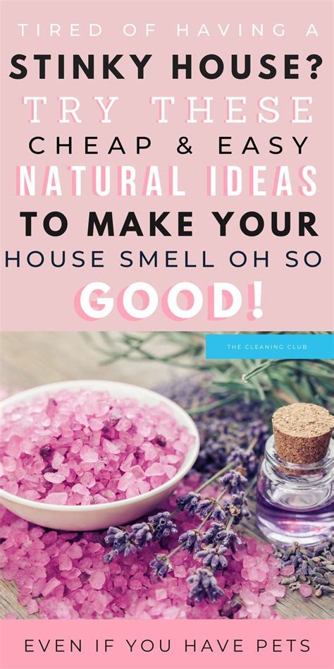Make Your House Smell Good Naturally With 15 Fabulous Ideas House