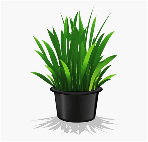 Plant Pot Clip Art 10 Free Cliparts Download Images On