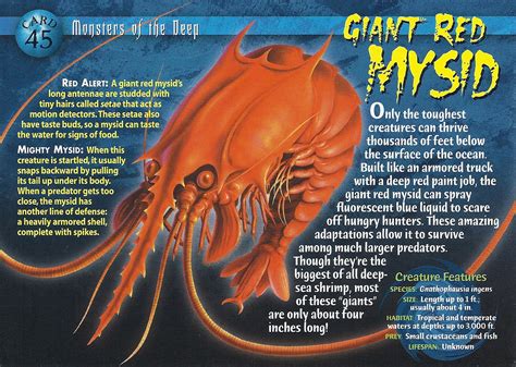 Giant Red Mysid Weird N Wild Creatures Wiki Fandom