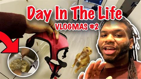 Day The Life As A Beginning Youtuber Vlogmas 2 Youtube