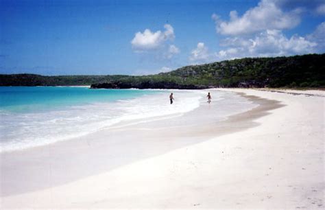 Filecorcho Beach Vieques Puerto Rico Wikimedia Commons