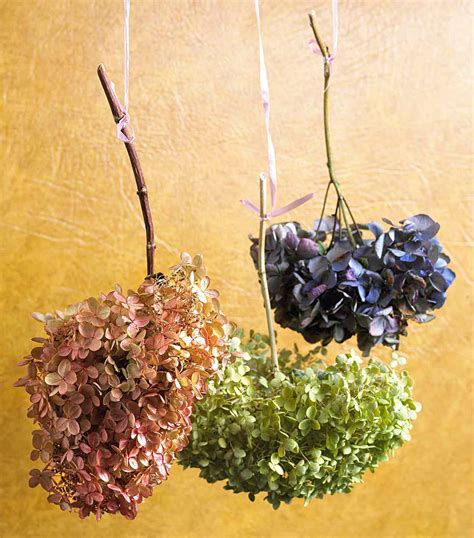 Hydrangea Flower Tricks Better Homes And Gardens