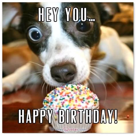 On occasions like birthdays, the sense of distance can these birthday quotes are a mix of funny and wise. The 25 dog birthday wishes that you need to add humor to ...