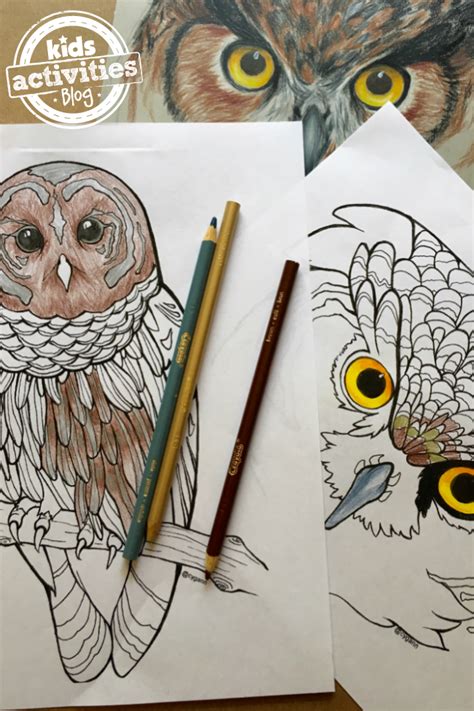 Print out animal pages/information sheets to color. Coolest Owl Coloring Pages for Kids & Adults with Video ...