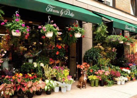 The state of puebla is located on the east side of the volcanoes of popocatepetl and iztaccihuatl, opposite of the valley of mexico and mexico city. 14 Best Upper East Side Flower Delivery Services in NYC ...