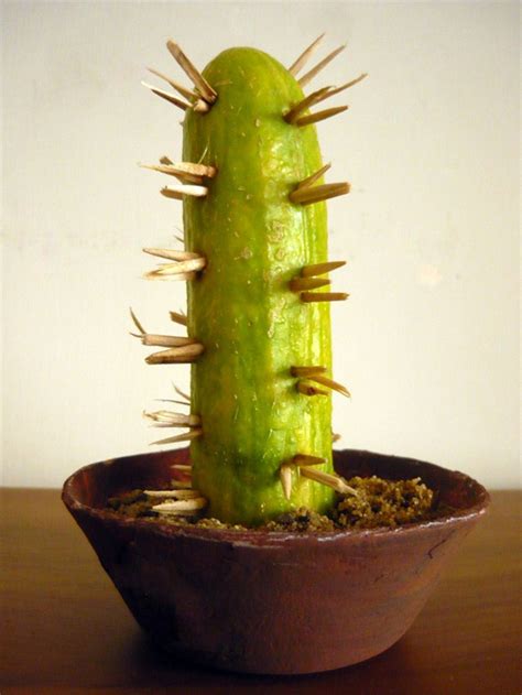 mini cactus simple cinco de mayo craft ideas jumpstart