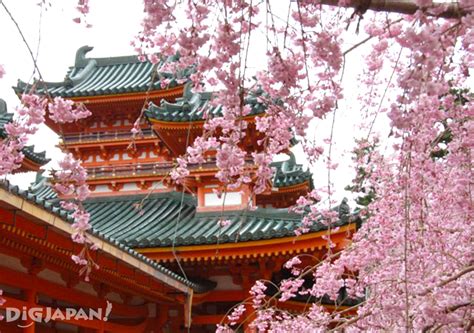 10 Must See Sakura Spots In Kyoto Digjapan