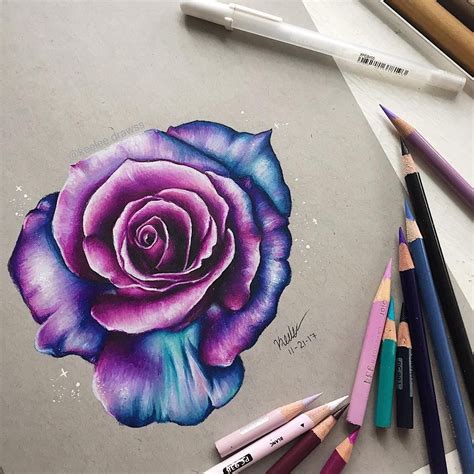 Colorful Rose Colored Pencil Drawing Rose Drawing Roses Drawing