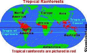 Tropical rainforest & temperate rainforest. Where are Rainforests? - EnchantedLearning.com