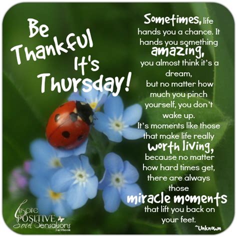 We've compiled a list of top 60 be thankful quotes and thankfulness sayings. Thursday Pictures, Photos, and Images for Facebook, Tumblr ...