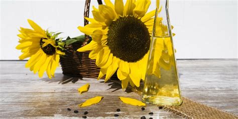 It works on nourishing the scalp and strengthening the roots. 8 Best Carrier Oil For Hair growth & Healthy Hair ...