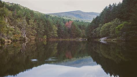 Lake Water Reflection Photo From Pikwizard