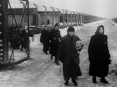 27 janvier 1945 la libération d Auschwitz Birkenau par l Armée rouge