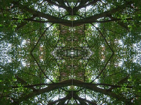 Photography Kaleidoscope Effect