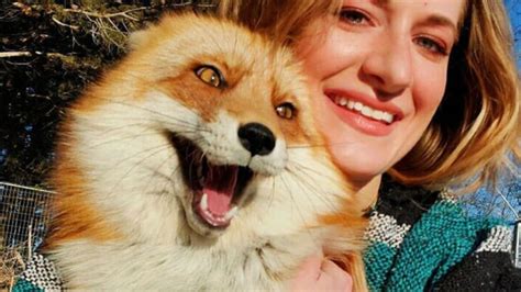 this cheeky fox will leave you in stitches as she steals a woman s phone