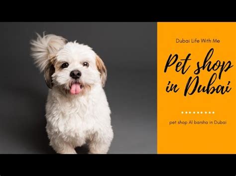 full enjoy in pet shop | Dubai pet shop | Al barsha pet ...