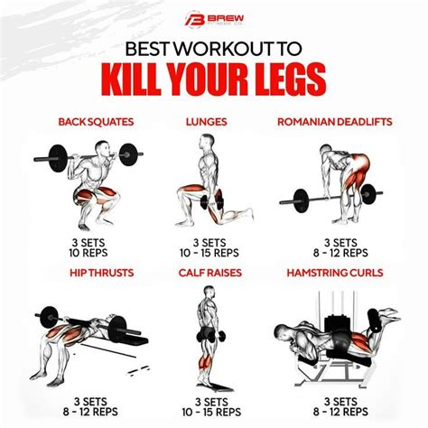 best workout for legs best leg workout leg workout routine leg workouts gym