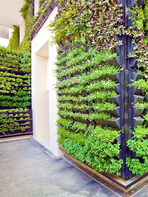 All vertical gardens are basically created of either pockets or shelves so plants can be piled up on top of the other while still leaving space for them to grow. How To Build a Vertical Garden At Home - realestate.com.au
