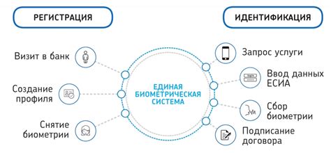 Пользовательский тест-драйв: разбираемся, как работает единая ...