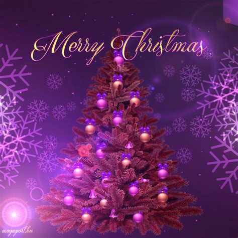 Merry Christmas  Animation Megaport Media