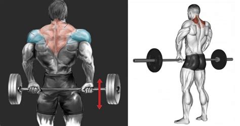 Front Barbell Shrugs Vs Behind The Back Shrugs Fitness Workouts