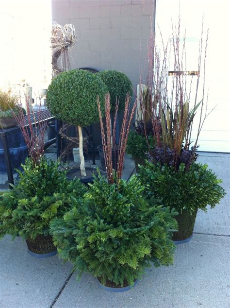 177 Best Winter Containers Images On Pinterest Winter