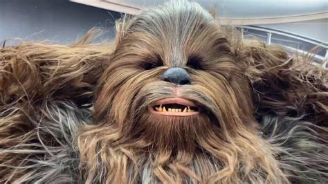 °o° Legends Of The Force Meet And Greet Chewbacca Youtube