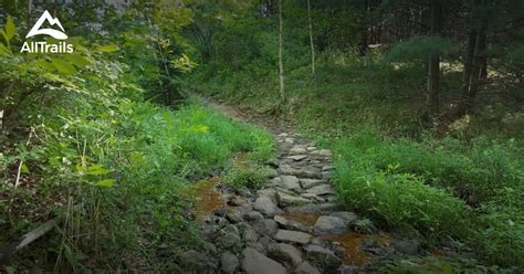 West side of county road y: Best trails in Eau Claire, Wisconsin | AllTrails