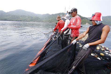 LAUT MASA DEPAN BANGSA ANTARA Foto