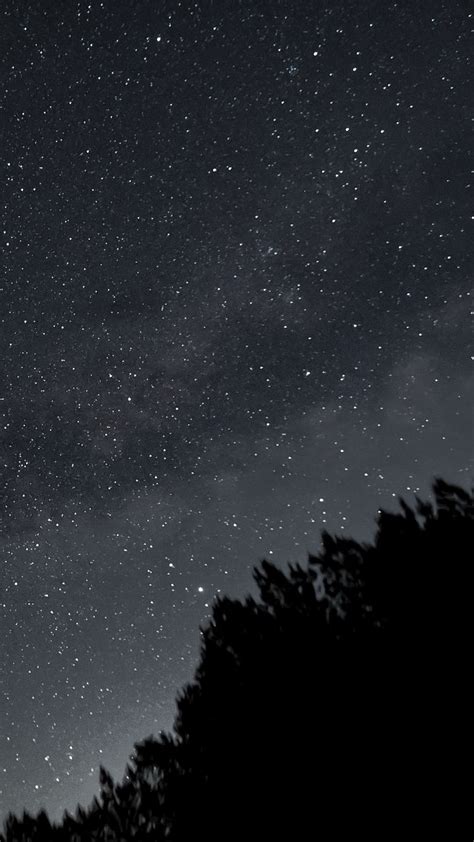 Download Wallpaper 720x1280 Forest Silhouettes Stars Night Dark