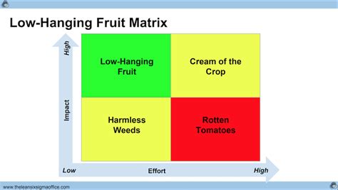 Low Hanging Fruits Kleine Tasks Große Wirkung Einstein1