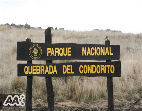 Trekking En La Quebrada Del Condorito Córdoba Blog Alquiler Argentina