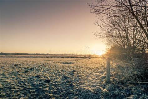 Rural Sunrise In The Winter With A Frozen Meadow Stock Photo Image Of