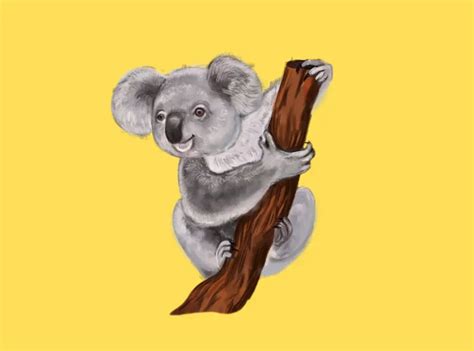 40 Hilarious Koala Jokes