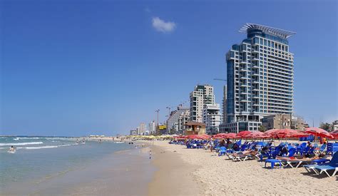 זאת לאחר שהמשרד הכריז על זכייתן של העמותות פיתחון לב ואשל ירושלים במכרז להפעלת הפרויקט. מלון ישרוטל רויאל ביץ תל אביב