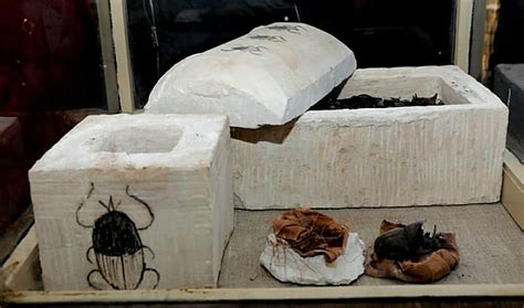 Dozens Of Cat Mummies Have Been Found In A 2500 Year Old Egyptian Tomb