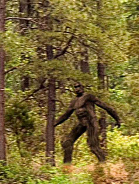 Bigfoot Investigator Claims He Has Proof Legendary Monster Is Hiding Out In Scottish Forest