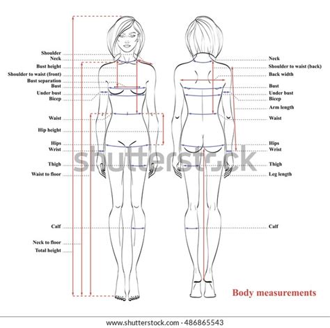 Woman Body Measurement Chart Scheme Measurement Stock Vector Royalty Free 486865543