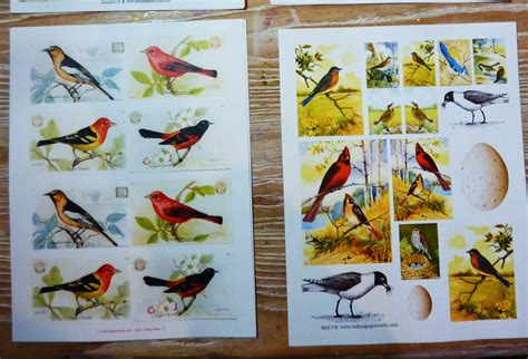 Artful Play Bird Theme Atc Cards For Redlead