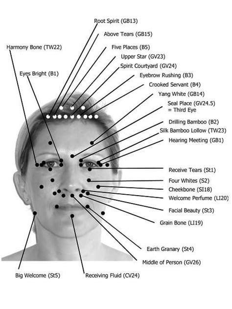 facial reflexology chart that illustrates the acupressure points on the face and skull most are