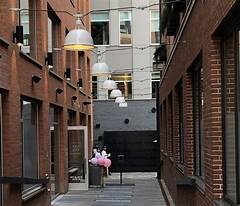 Irvines Rental Scene Navigating The Market As A Newcomer