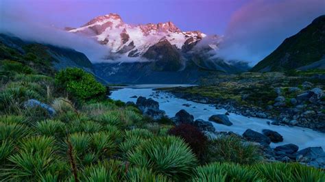 Fiordland National Park In South Island New Zealand Bing Gallery